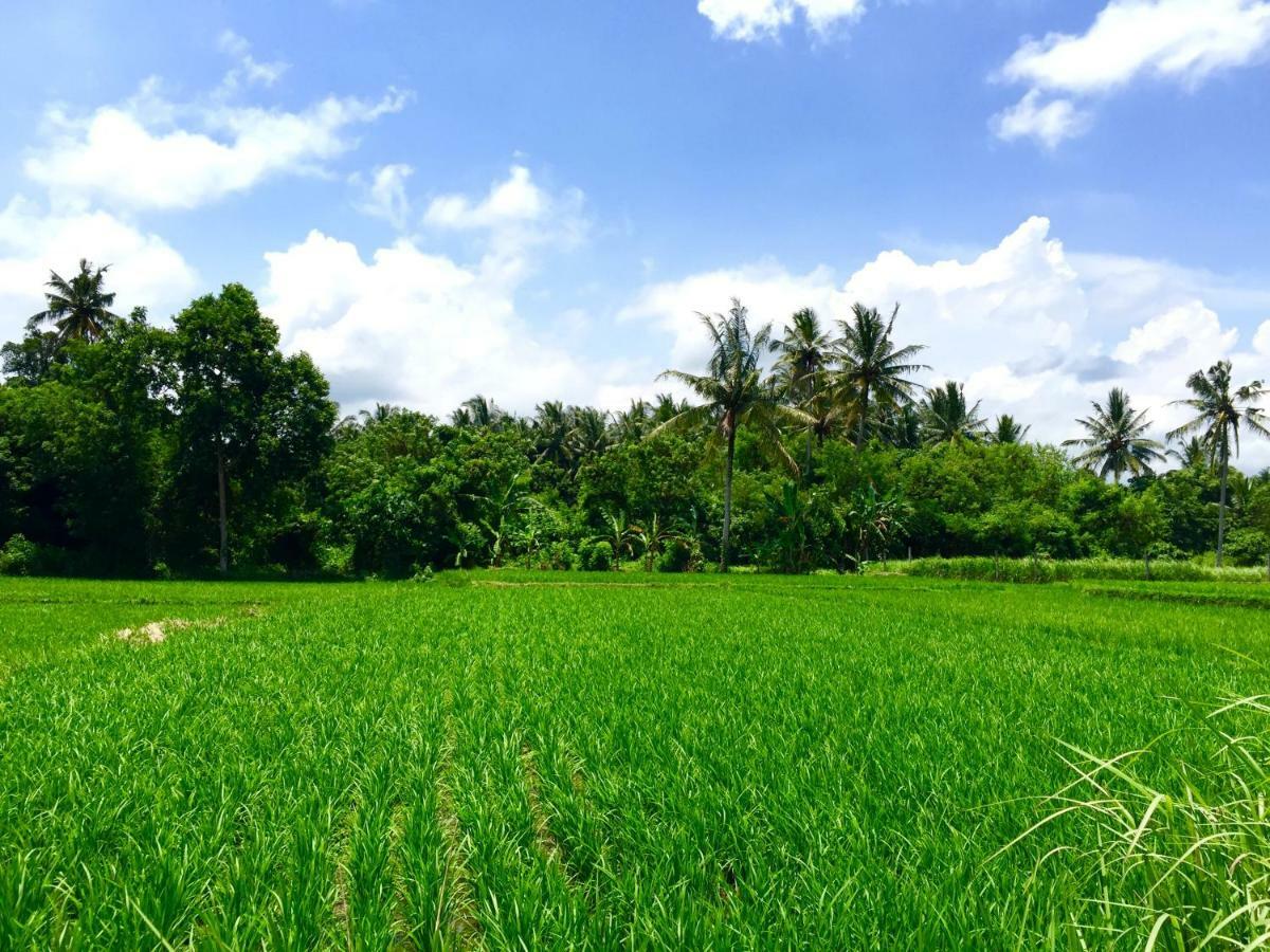 Villa Santai Ubud Exterior foto