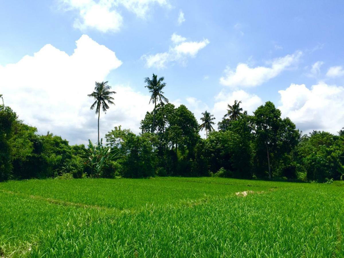 Villa Santai Ubud Exterior foto